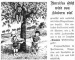 Ricales Pfeffermuenzgeist 1907 633.jpg